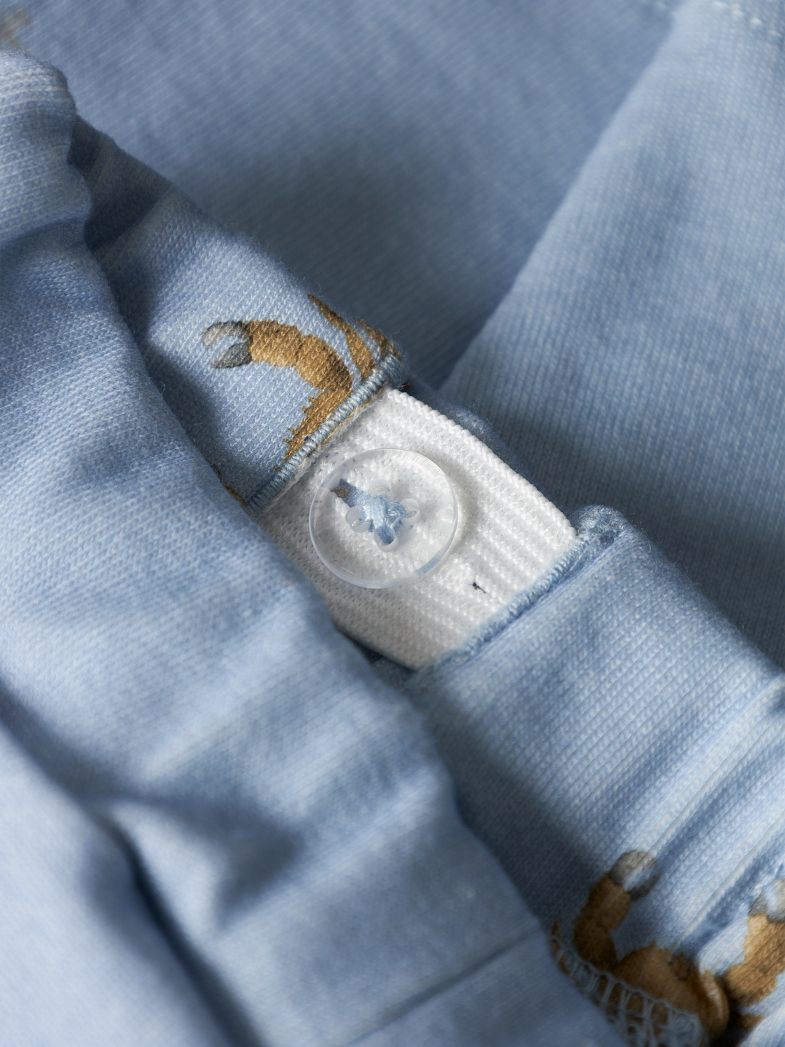 model_shot-front_full